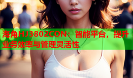 海角HJ3802CON：智能平台，提升业务效率与管理灵活性
