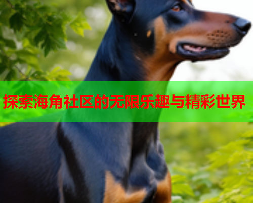 探索海角社区的无限乐趣与精彩世界
