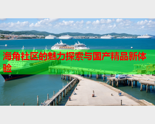 海角社区的魅力探索与国产精品新体验