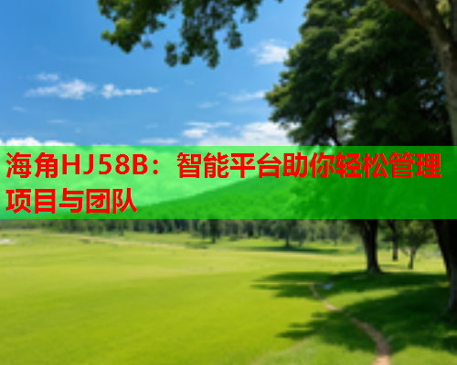 海角HJ58B：智能平台助你轻松管理项目与团队